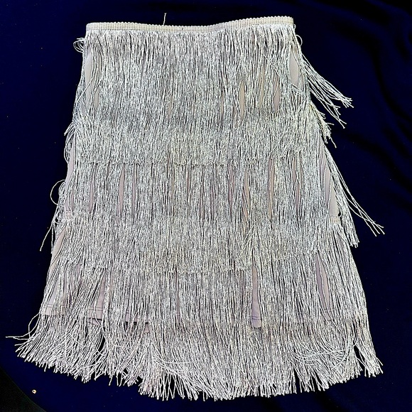 Dresses & Skirts - *NWT* Womens small silver sparkly fringe skirt